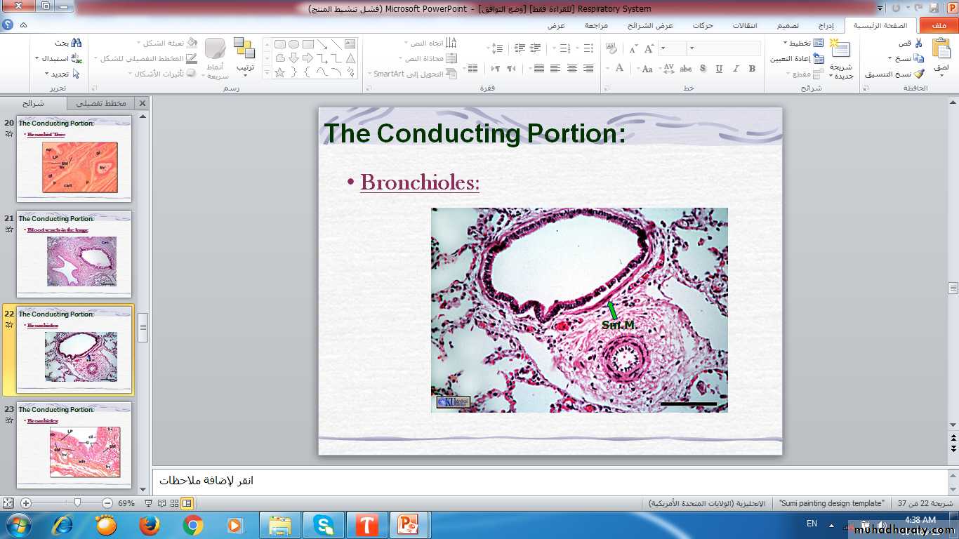 respiratory system