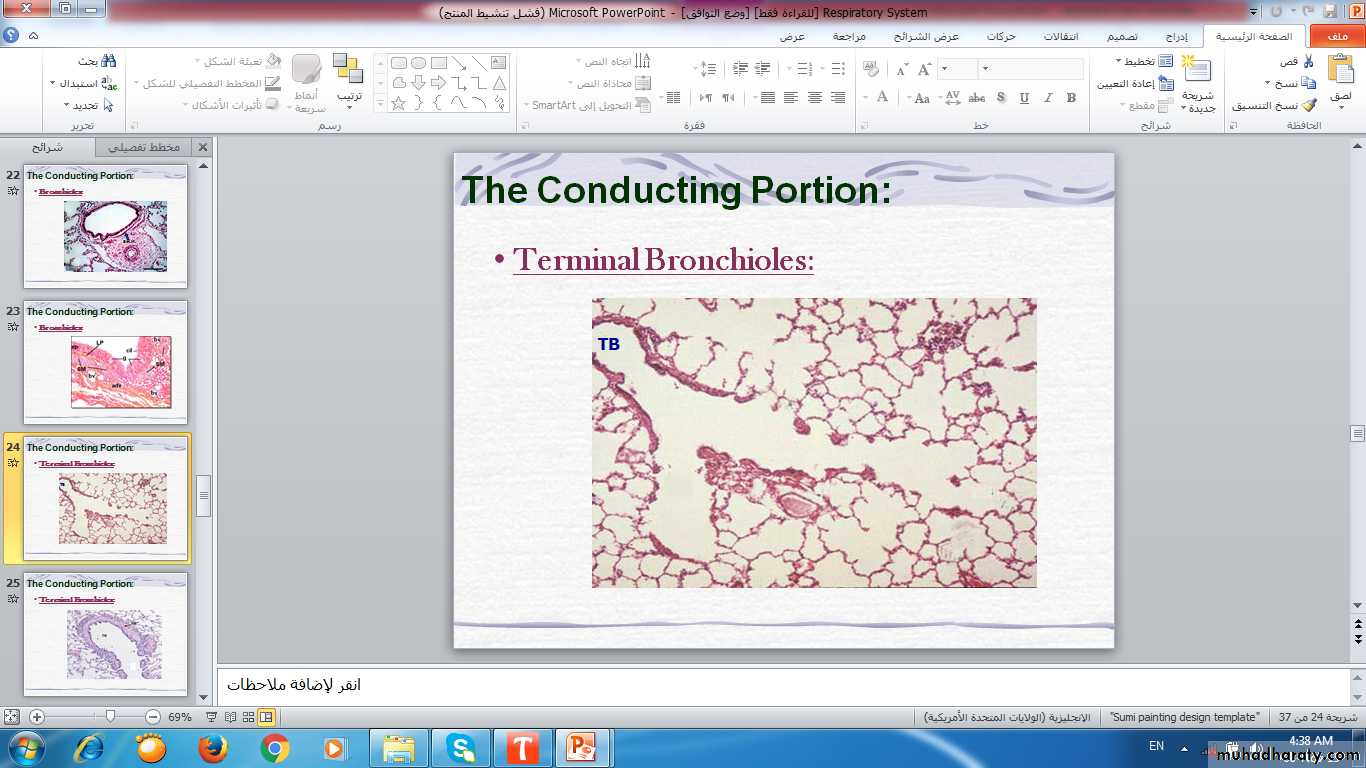 respiratory system
