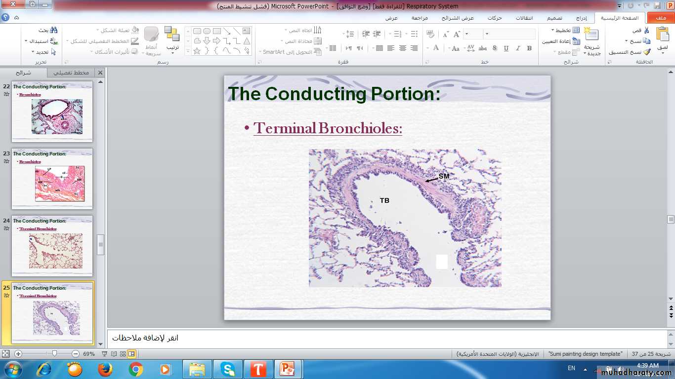 respiratory system