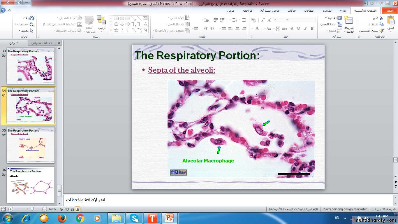 respiratory system