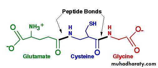 CARBO-6- ppp