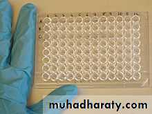 Lab 2 (Ag-Ab reaction)