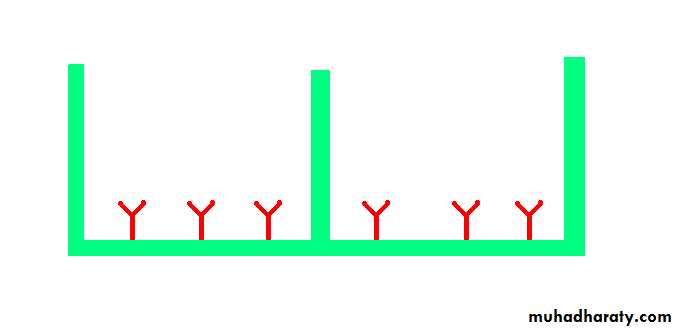 Lab 2 (Ag-Ab reaction)