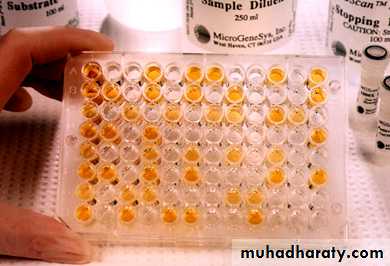 Lab 2 (Ag-Ab reaction)