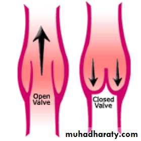 CVS 5 and 6
