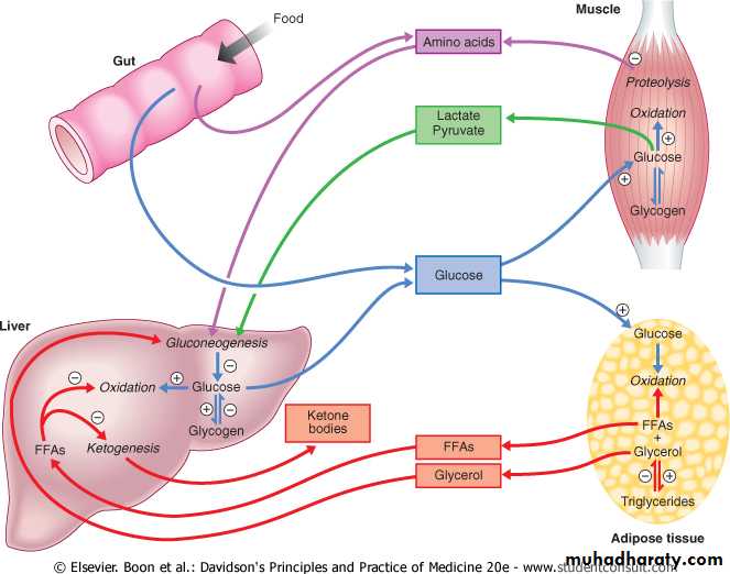 Diabetes mellitus