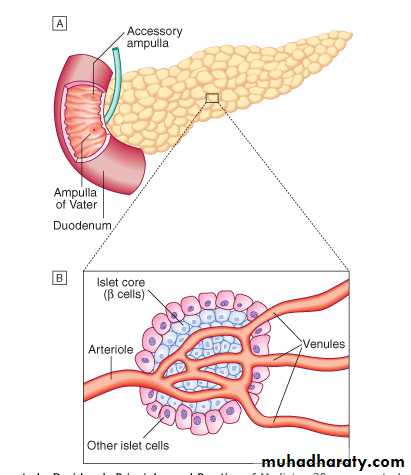 Diabetes mellitus