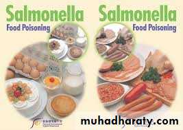 Family enterobacteriaceae بوربوينت