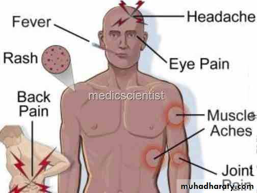 Family enterobacteriaceae بوربوينت