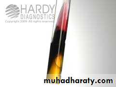 Family enterobacteriaceae بوربوينت