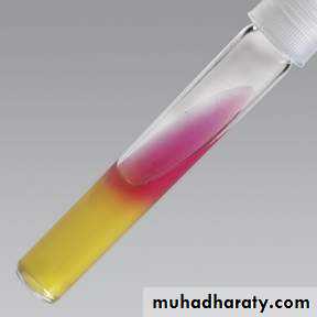Family enterobacteriaceae بوربوينت
