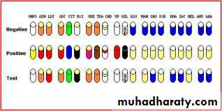 Family enterobacteriaceae بوربوينت