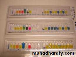 Family enterobacteriaceae بوربوينت