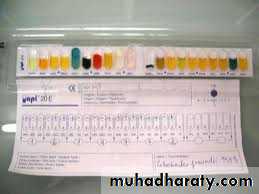 Family enterobacteriaceae بوربوينت
