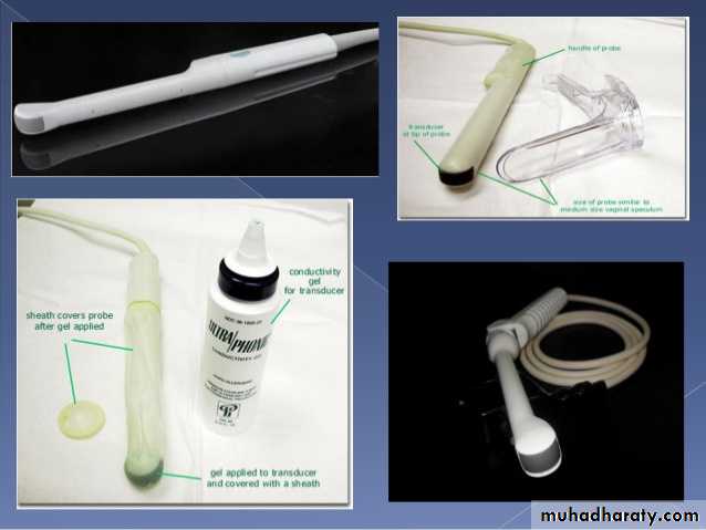 Ultrasound in Obestatric