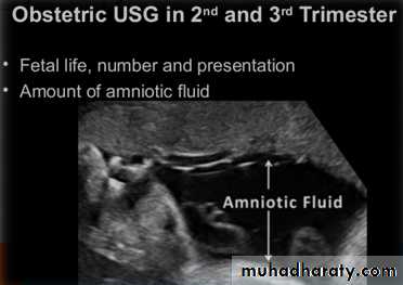 Ultrasound in Obestatric