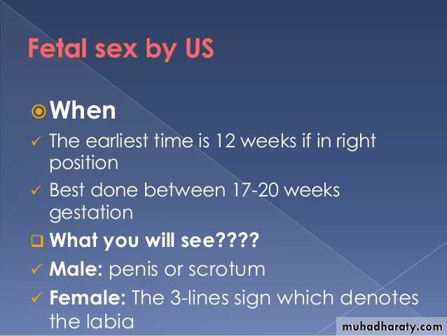 Ultrasound in Obestatric