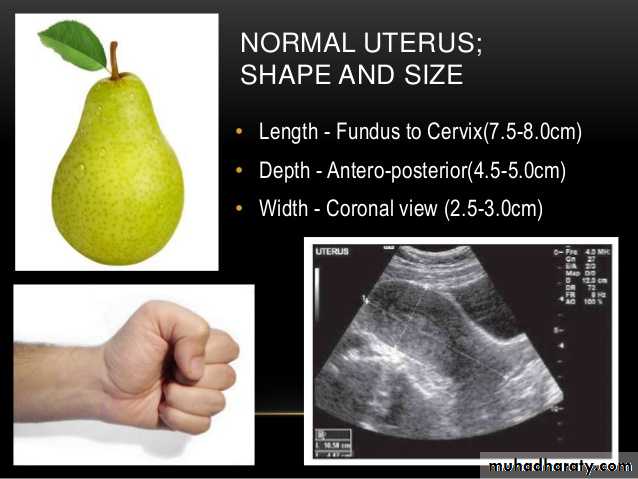 Ultrasound in Obestatric