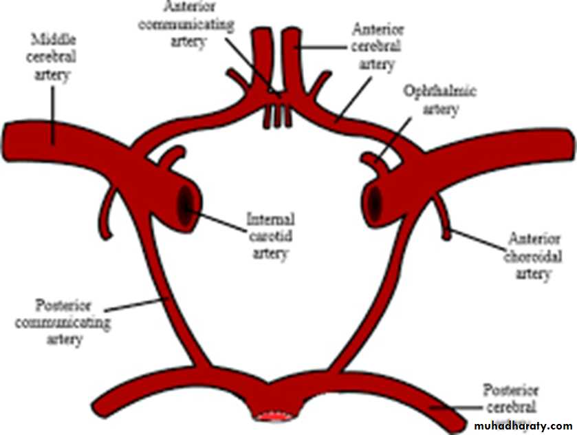 Internal Carotid Artery