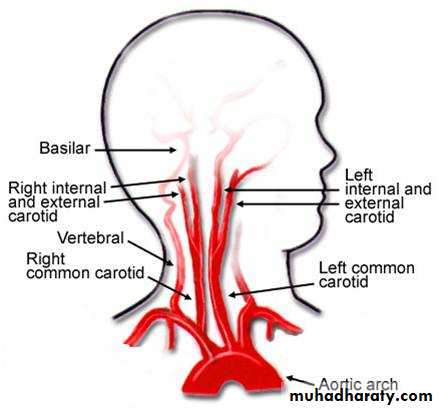 Internal Carotid Artery