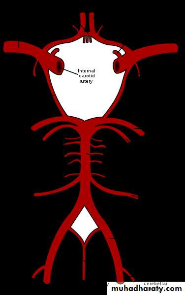 Internal Carotid Artery