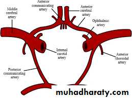 Internal Carotid Artery