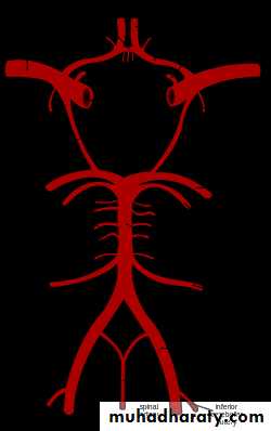 Internal Carotid Artery