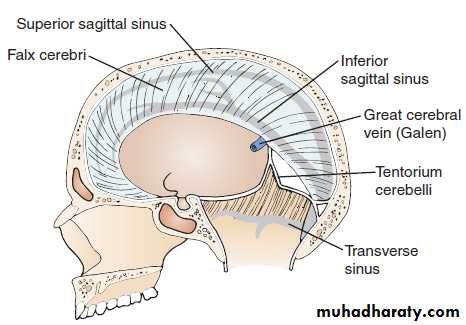 CNS