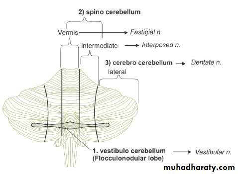 CNS