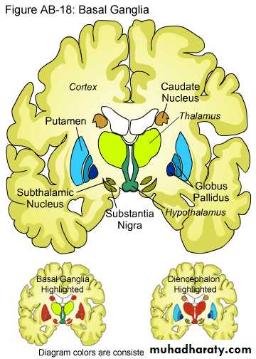 CNS