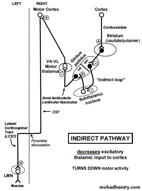 CNS