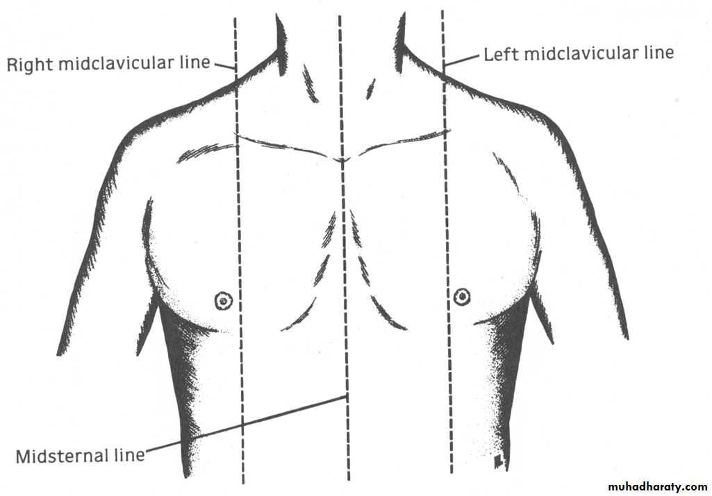 chest examination