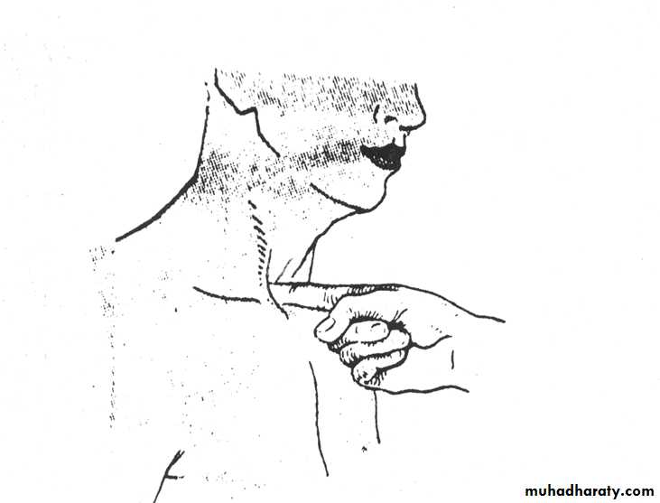 chest examination