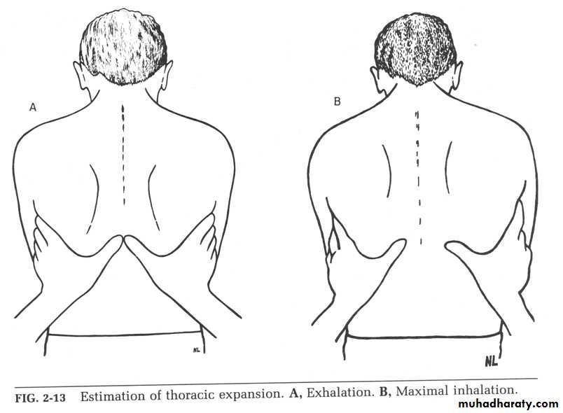 chest examination