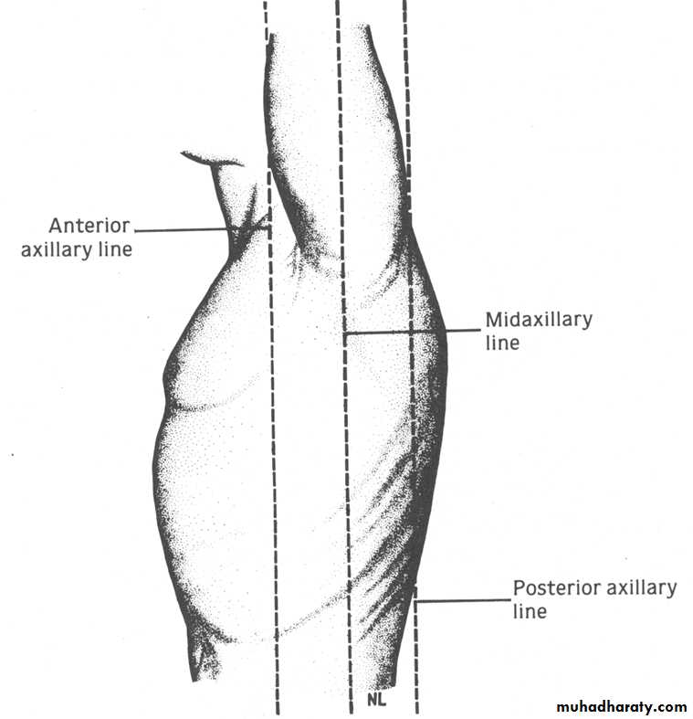 chest examination