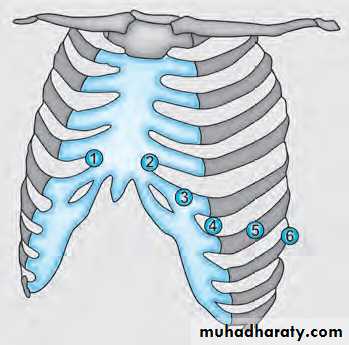 ECG