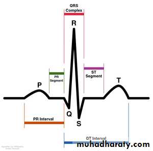 ECG