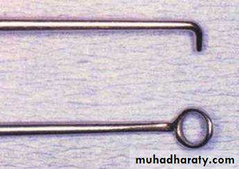 ear