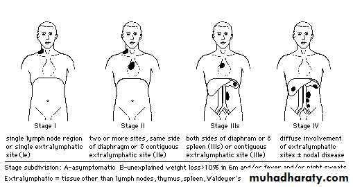 Lymph Node