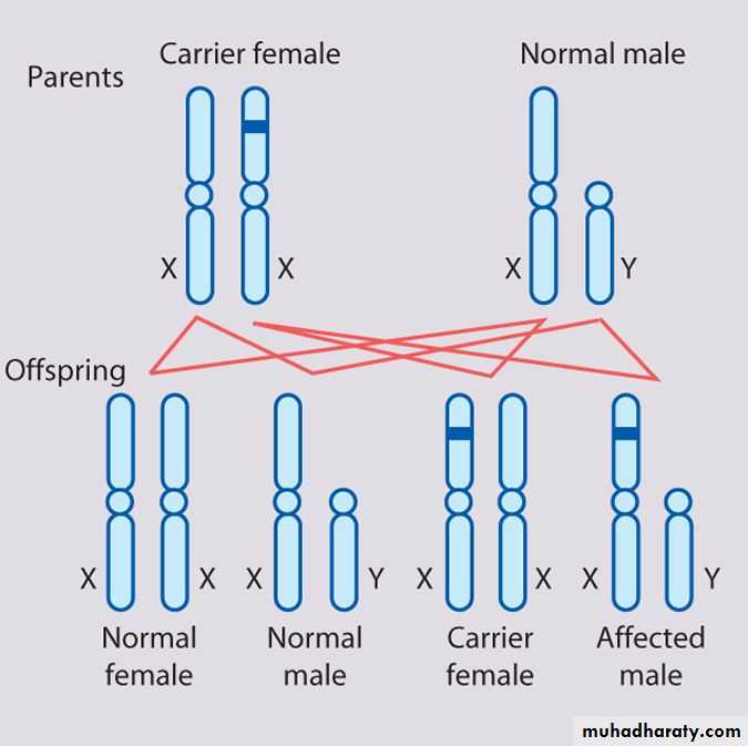 Genetic