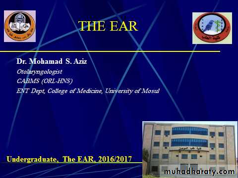 Ear