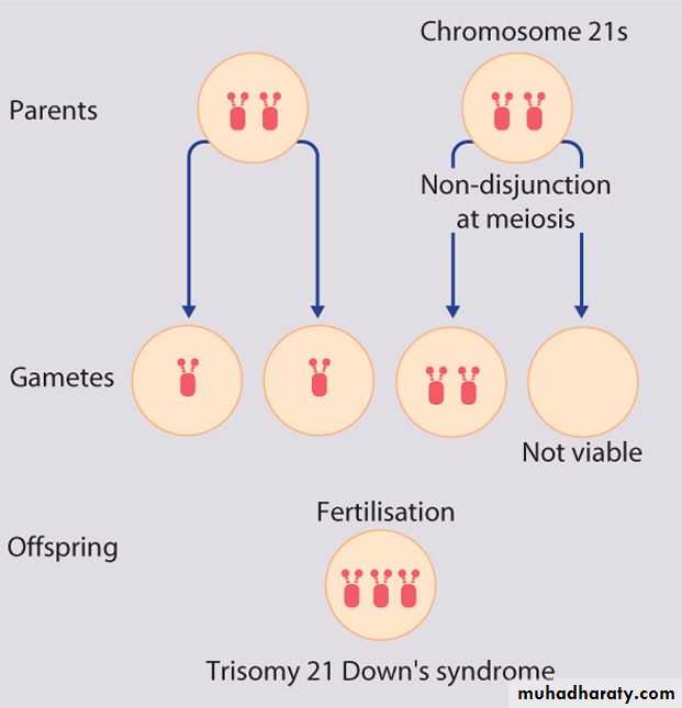 Genetic