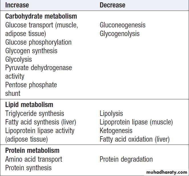 Diabetes Mellitus