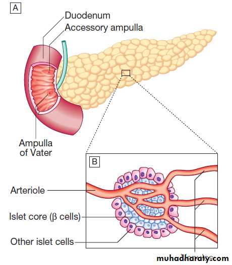 Diabetes Mellitus