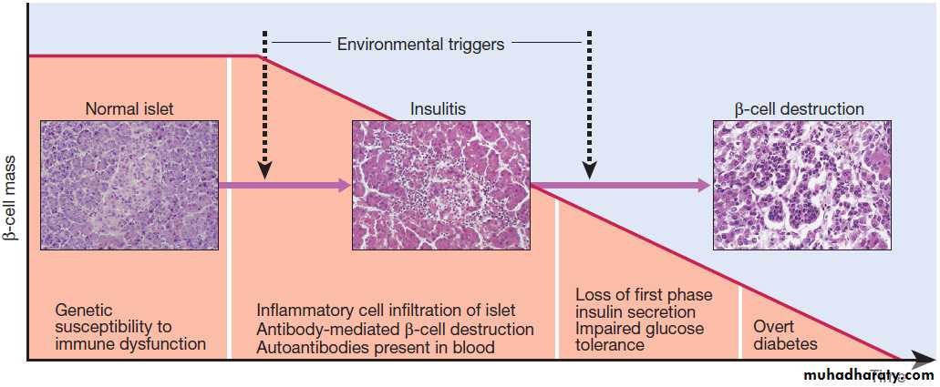 Diabetes Mellitus