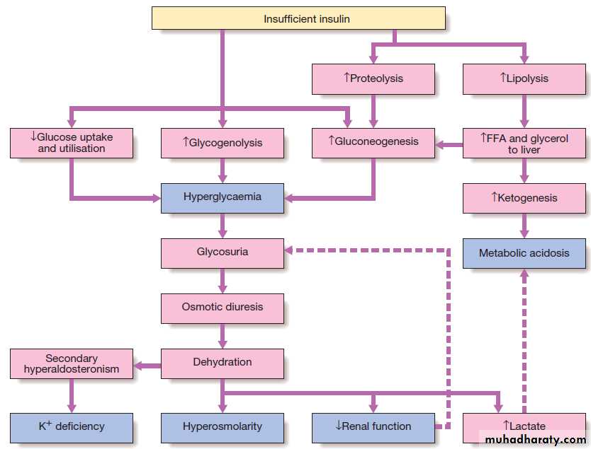 Diabetes Mellitus