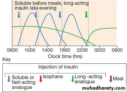 Diabetes Mellitus