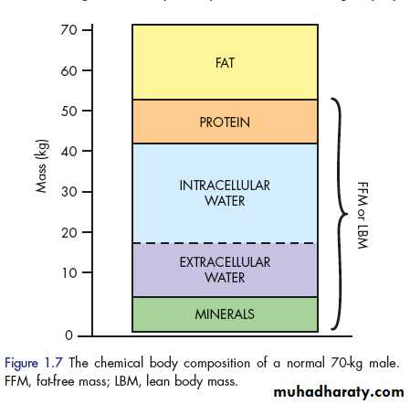 Metabolic Response to Trauma