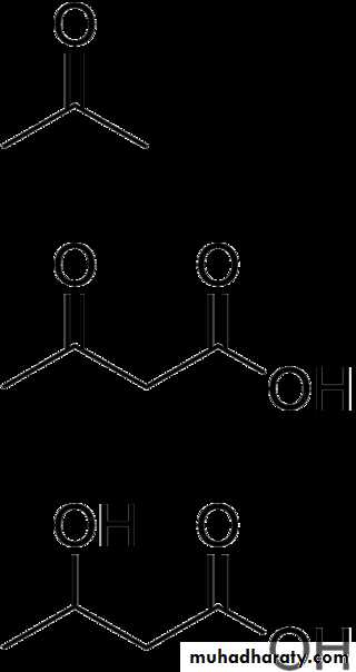 Lipid metabolism
