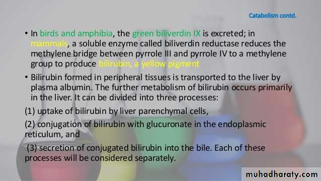 porphrins bile pigments